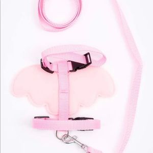 🆕 cat harness with leash